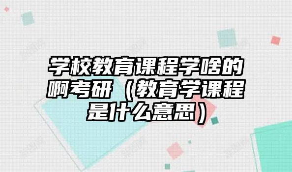 學校教育課程學啥的啊考研（教育學課程是什么意思）