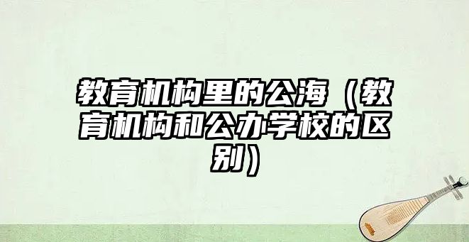 教育機構(gòu)里的公海（教育機構(gòu)和公辦學(xué)校的區(qū)別）