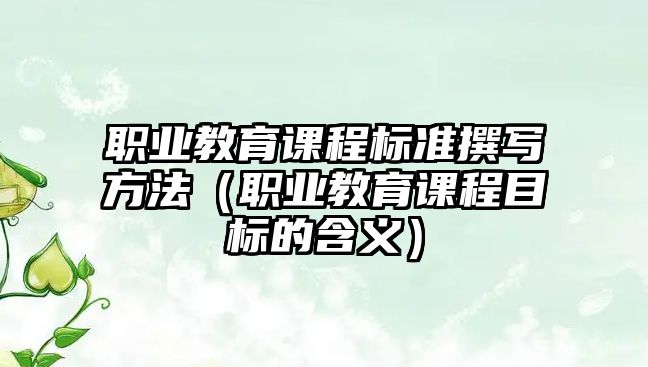 職業(yè)教育課程標(biāo)準(zhǔn)撰寫(xiě)方法（職業(yè)教育課程目標(biāo)的含義）