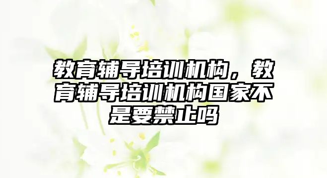 教育輔導培訓機構(gòu)，教育輔導培訓機構(gòu)國家不是要禁止嗎