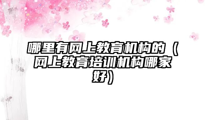 哪里有網(wǎng)上教育機(jī)構(gòu)的（網(wǎng)上教育培訓(xùn)機(jī)構(gòu)哪家好）