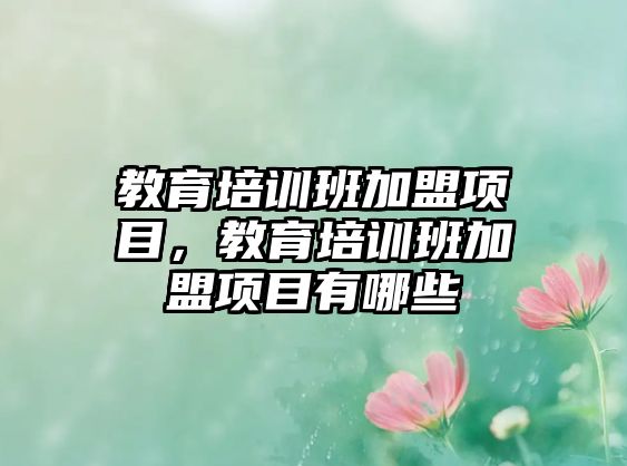 教育培訓(xùn)班加盟項目，教育培訓(xùn)班加盟項目有哪些