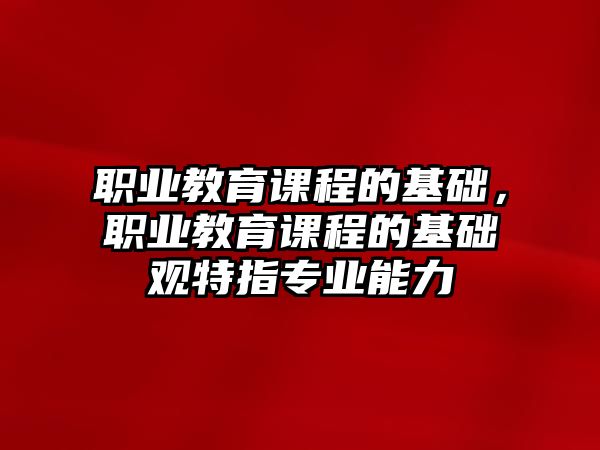 職業(yè)教育課程的基礎(chǔ)，職業(yè)教育課程的基礎(chǔ)觀特指專業(yè)能力