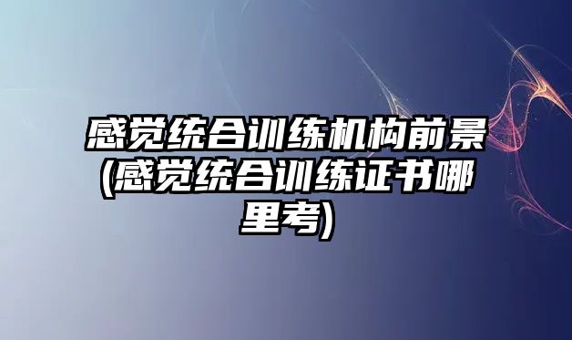 感覺(jué)統(tǒng)合訓(xùn)練機(jī)構(gòu)前景(感覺(jué)統(tǒng)合訓(xùn)練證書(shū)哪里考)