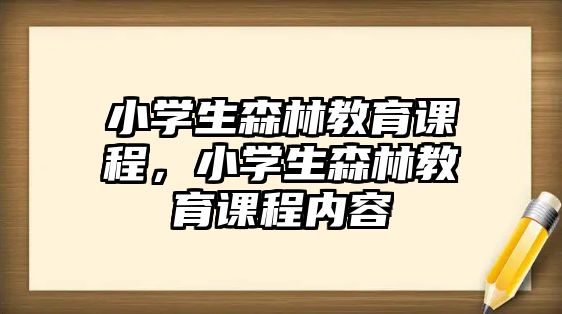 小學(xué)生森林教育課程，小學(xué)生森林教育課程內(nèi)容