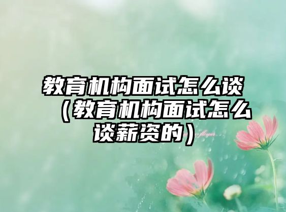 教育機(jī)構(gòu)面試怎么談（教育機(jī)構(gòu)面試怎么談薪資的）