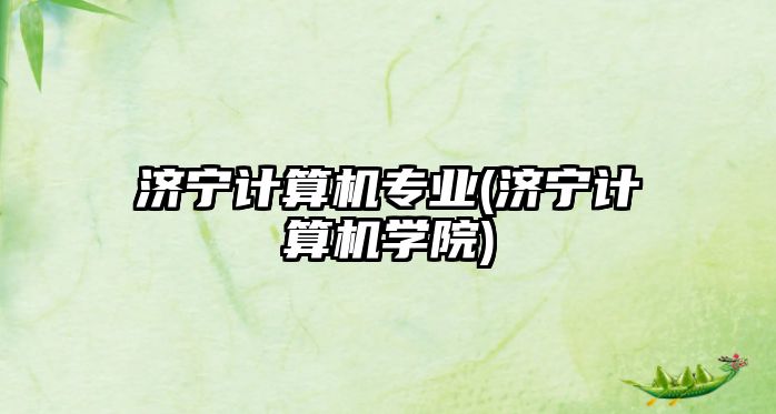 濟(jì)寧計(jì)算機(jī)專業(yè)(濟(jì)寧計(jì)算機(jī)學(xué)院)