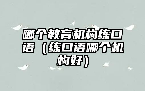 哪個(gè)教育機(jī)構(gòu)練口語（練口語哪個(gè)機(jī)構(gòu)好）