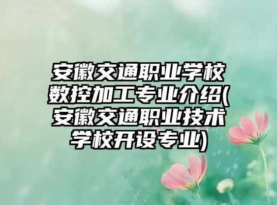 安徽交通職業(yè)學(xué)校數(shù)控加工專業(yè)介紹(安徽交通職業(yè)技術(shù)學(xué)校開設(shè)專業(yè))