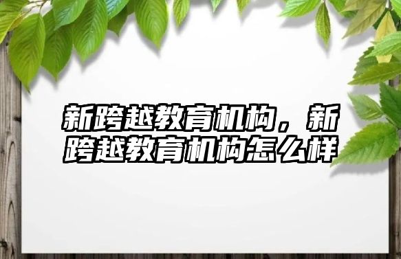 新跨越教育機構(gòu)，新跨越教育機構(gòu)怎么樣