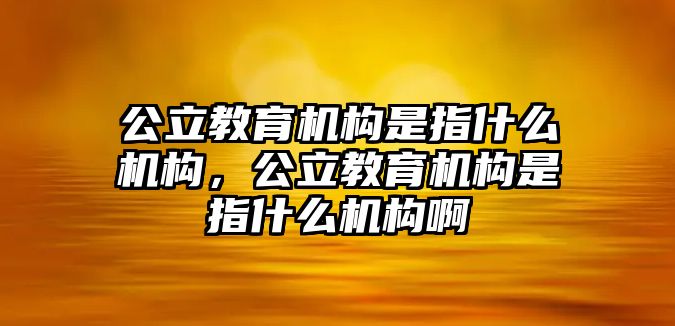 公立教育機構(gòu)是指什么機構(gòu)，公立教育機構(gòu)是指什么機構(gòu)啊