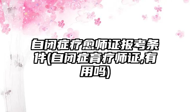 自閉癥療愈師證報(bào)考條件(自閉癥育療師證,有用嗎)