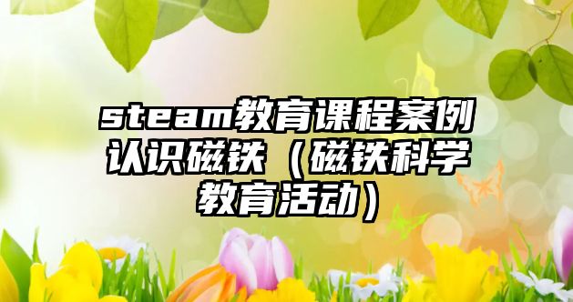 steam教育課程案例認(rèn)識(shí)磁鐵（磁鐵科學(xué)教育活動(dòng)）