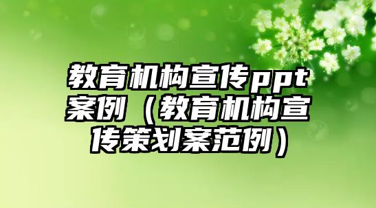 教育機構宣傳ppt案例（教育機構宣傳策劃案范例）