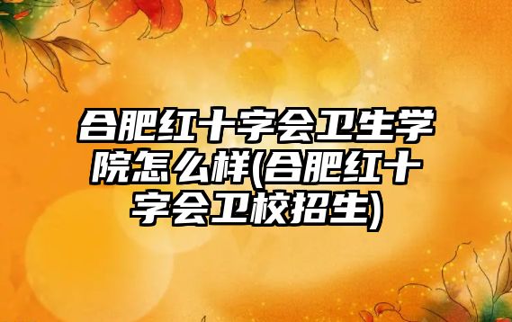 合肥紅十字會衛(wèi)生學(xué)院怎么樣(合肥紅十字會衛(wèi)校招生)