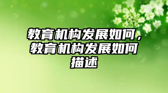 教育機(jī)構(gòu)發(fā)展如何，教育機(jī)構(gòu)發(fā)展如何描述