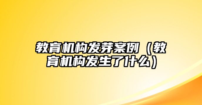 教育機(jī)構(gòu)發(fā)芽案例（教育機(jī)構(gòu)發(fā)生了什么）