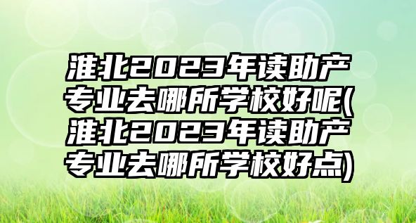 淮北2023年讀助產(chǎn)專業(yè)去哪所學(xué)校好呢(淮北2023年讀助產(chǎn)專業(yè)去哪所學(xué)校好點)