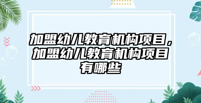 加盟幼兒教育機構(gòu)項目，加盟幼兒教育機構(gòu)項目有哪些