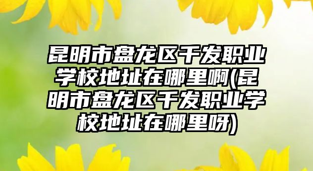 昆明市盤龍區(qū)千發(fā)職業(yè)學(xué)校地址在哪里啊(昆明市盤龍區(qū)千發(fā)職業(yè)學(xué)校地址在哪里呀)