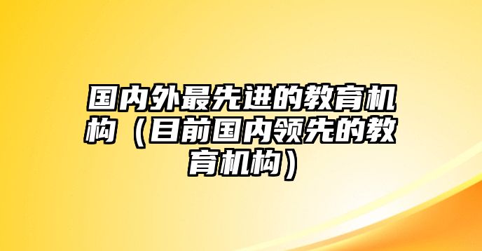 國內(nèi)外最先進的教育機構(gòu)（目前國內(nèi)領(lǐng)先的教育機構(gòu)）