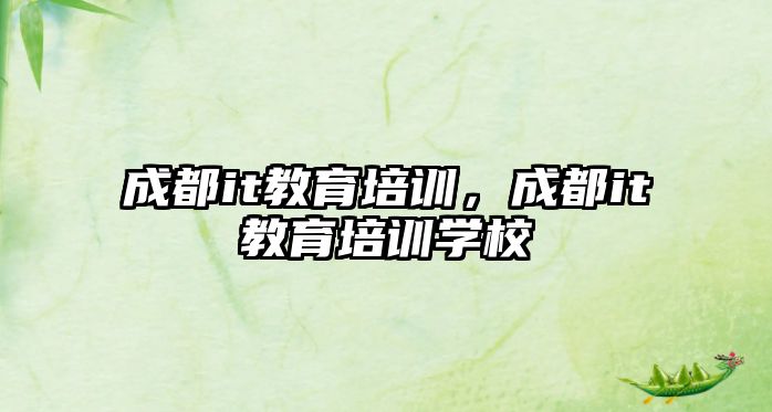 成都it教育培訓(xùn)，成都it教育培訓(xùn)學(xué)校