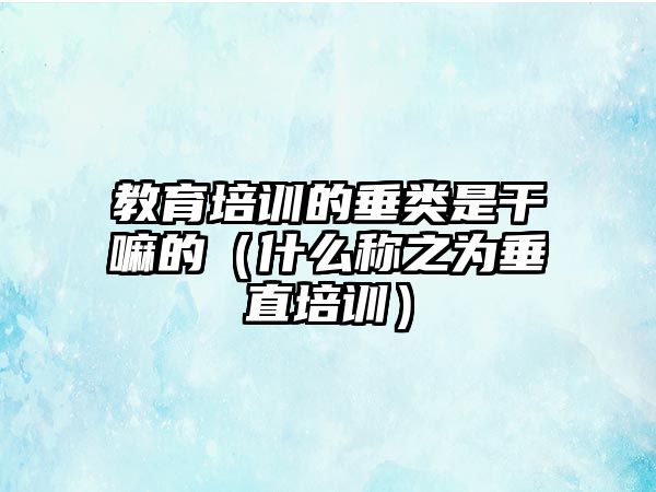 教育培訓(xùn)的垂類是干嘛的（什么稱之為垂直培訓(xùn)）