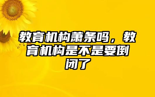 教育機(jī)構(gòu)蕭條嗎，教育機(jī)構(gòu)是不是要倒閉了