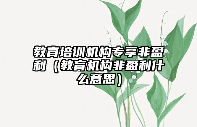 教育培訓(xùn)機構(gòu)專享非盈利（教育機構(gòu)非盈利什么意思）