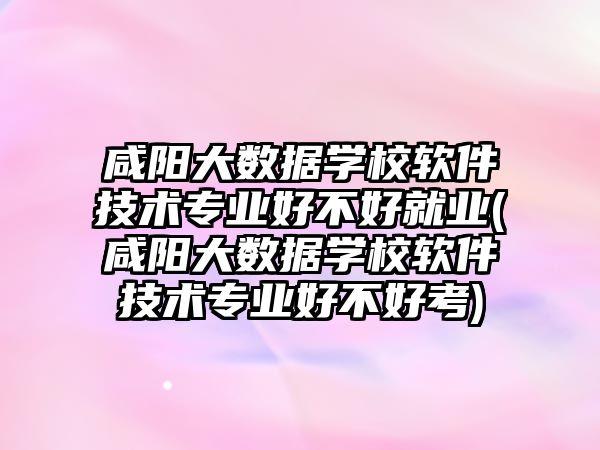 咸陽大數(shù)據(jù)學校軟件技術(shù)專業(yè)好不好就業(yè)(咸陽大數(shù)據(jù)學校軟件技術(shù)專業(yè)好不好考)