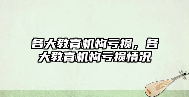 各大教育機構虧損，各大教育機構虧損情況