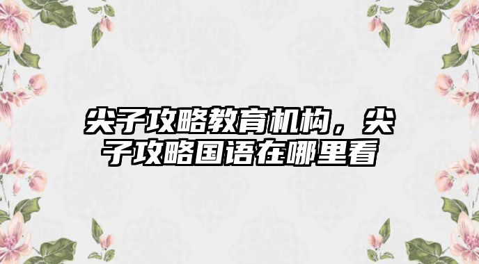 尖子攻略教育機(jī)構(gòu)，尖子攻略國(guó)語在哪里看