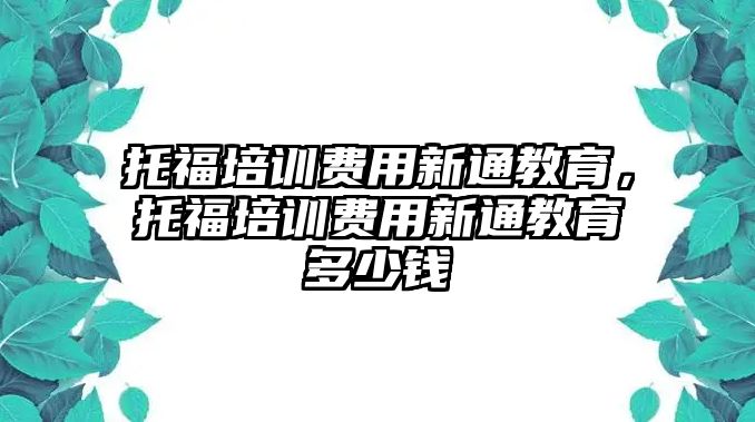 托福培訓(xùn)費(fèi)用新通教育，托福培訓(xùn)費(fèi)用新通教育多少錢