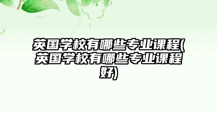 英國(guó)學(xué)校有哪些專(zhuān)業(yè)課程(英國(guó)學(xué)校有哪些專(zhuān)業(yè)課程好)