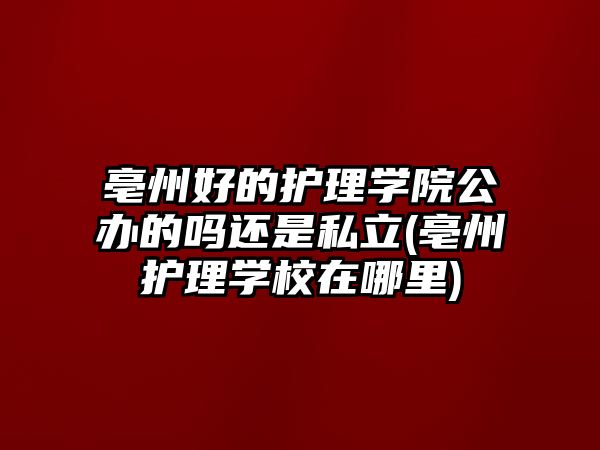 亳州好的護理學院公辦的嗎還是私立(亳州護理學校在哪里)