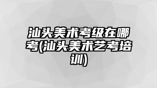 汕頭美術考級在哪考(汕頭美術藝考培訓)