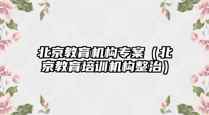 北京教育機構(gòu)專案（北京教育培訓機構(gòu)整治）