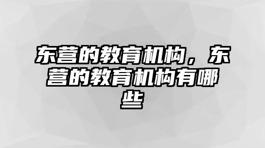 東營的教育機構(gòu)，東營的教育機構(gòu)有哪些