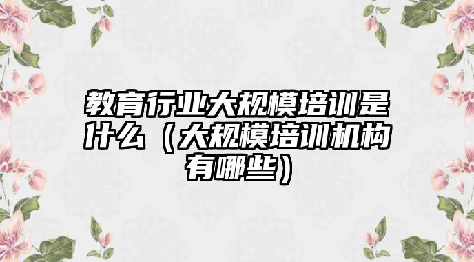 教育行業(yè)大規(guī)模培訓是什么（大規(guī)模培訓機構有哪些）