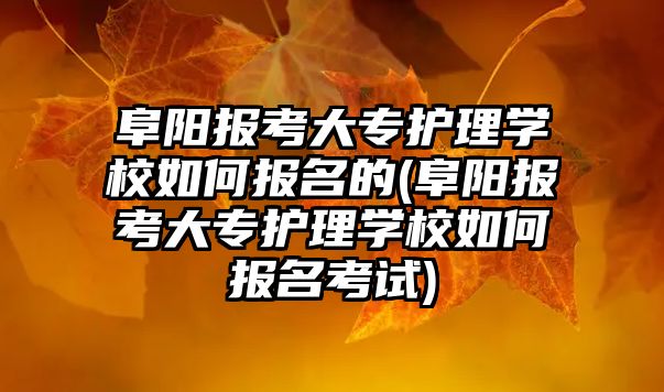 阜陽報考大專護理學校如何報名的(阜陽報考大專護理學校如何報名考試)