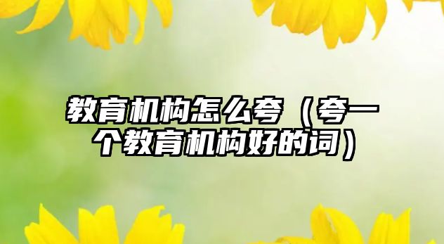 教育機構怎么夸（夸一個教育機構好的詞）