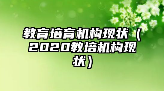 教育培育機構現(xiàn)狀（2020教培機構現(xiàn)狀）