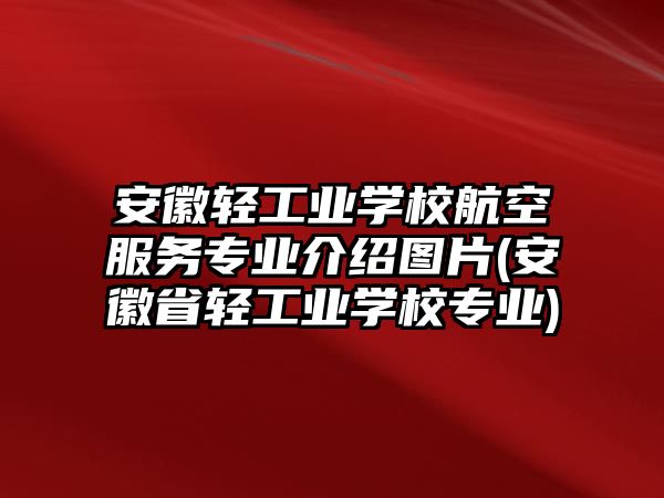 安徽輕工業(yè)學(xué)校航空服務(wù)專業(yè)介紹圖片(安徽省輕工業(yè)學(xué)校專業(yè))