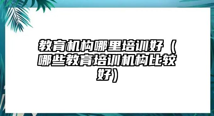 教育機構(gòu)哪里培訓(xùn)好（哪些教育培訓(xùn)機構(gòu)比較好）