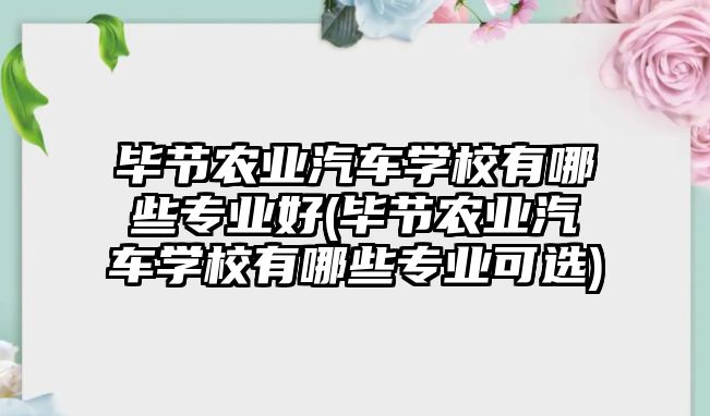 畢節(jié)農(nóng)業(yè)汽車學(xué)校有哪些專業(yè)好(畢節(jié)農(nóng)業(yè)汽車學(xué)校有哪些專業(yè)可選)