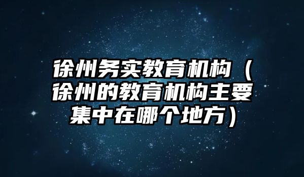 徐州務(wù)實教育機構(gòu)（徐州的教育機構(gòu)主要集中在哪個地方）