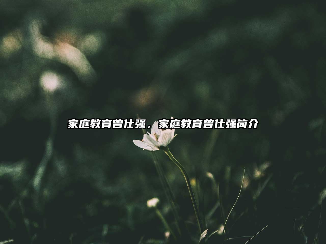 家庭教育曾仕強(qiáng)，家庭教育曾仕強(qiáng)簡(jiǎn)介