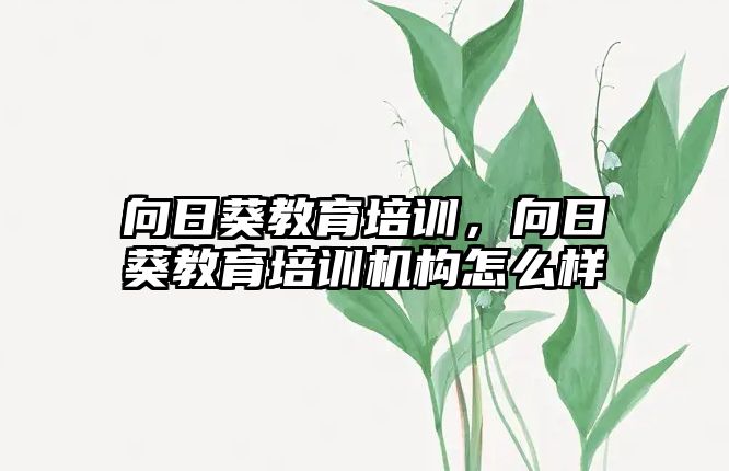 向日葵教育培訓(xùn)，向日葵教育培訓(xùn)機構(gòu)怎么樣