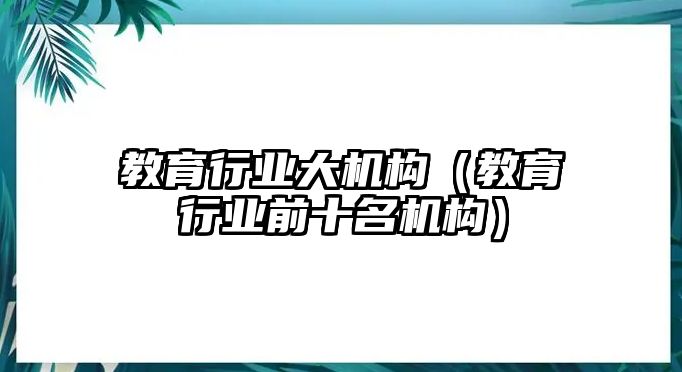 教育行業(yè)大機構(gòu)（教育行業(yè)前十名機構(gòu)）