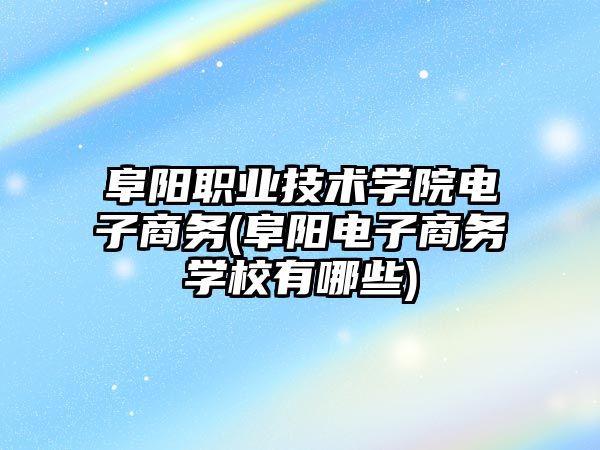 阜陽職業(yè)技術學院電子商務(阜陽電子商務學校有哪些)